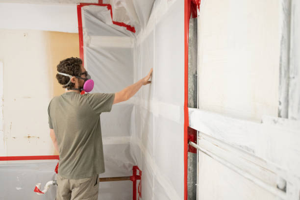 Best Mold Damage Restoration  in Alum Creek, WV